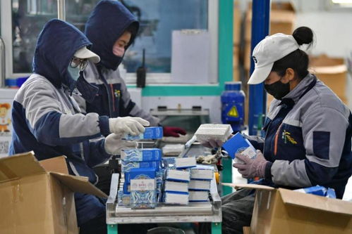 技術賦能，文化鑄魂 西藏傳統產業的創新轉型之路